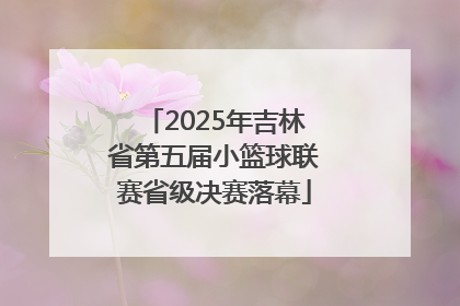 2025年吉林省第五届小篮球联赛省级决赛落幕