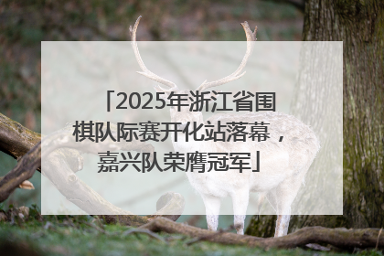 2025年浙江省围棋队际赛开化站落幕，嘉兴队荣膺冠军