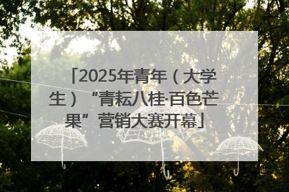 2025年青年（大学生）“青耘八桂·百色芒果”营销大赛开幕