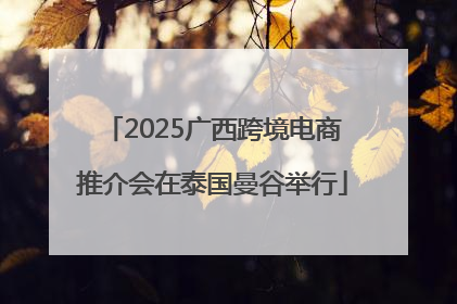 2025广西跨境电商推介会在泰国曼谷举行