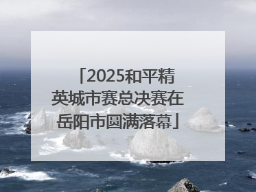 2025和平精英城市赛总决赛在岳阳市圆满落幕