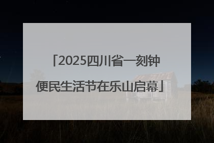 2025四川省一刻钟便民生活节在乐山启幕