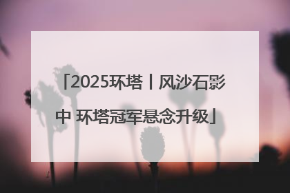 2025环塔丨风沙石影中 环塔冠军悬念升级
