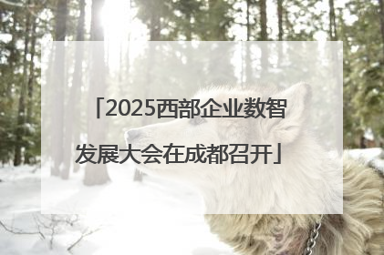 2025西部企业数智发展大会在成都召开