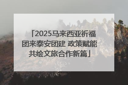 2025马来西亚祈福团来泰安团建 政策赋能共绘文旅合作新篇