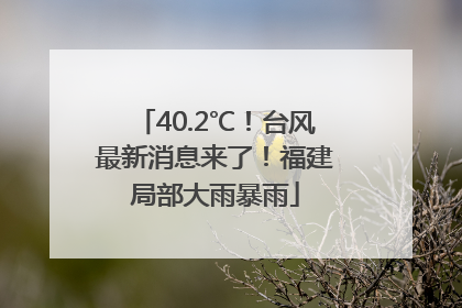 40.2℃！台风最新消息来了！福建局部大雨暴雨