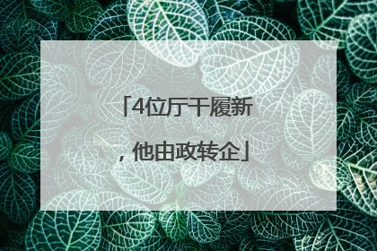 4位厅干履新，他由政转企
