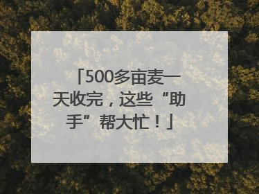 500多亩麦一天收完，这些“助手”帮大忙！