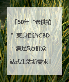 50年“老供销”变身街道CBD：满足5万群众一站式生活新需求