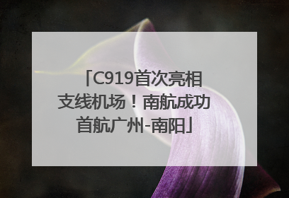 C919首次亮相支线机场！南航成功首航广州-南阳